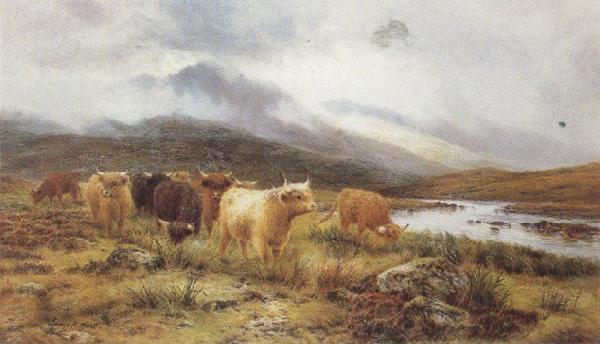 Louis bosworth hurt Highland Cattle on the Banks of a River (mk37)